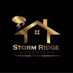 Logo design company in USA providing professional branding solutions for businesses